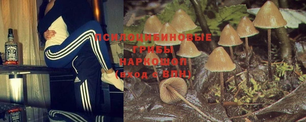 мескалин Майский