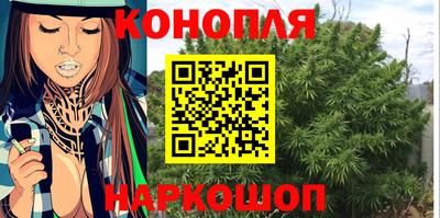 МДПВ Краснознаменск