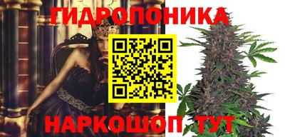 МДПВ Краснознаменск