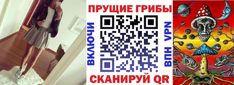 Псилоцибиновые грибы мицелий  Новотроицк 
