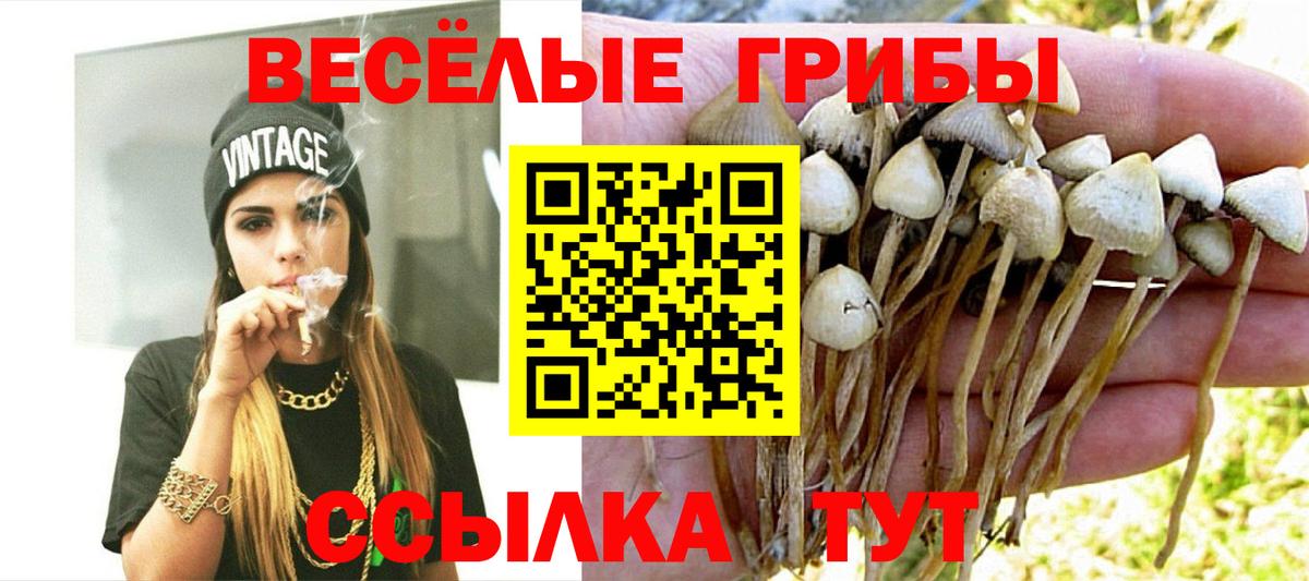 Галлюциногенные грибы Magic Shrooms  Вход с VPN  купить закладку  Новотроицк 